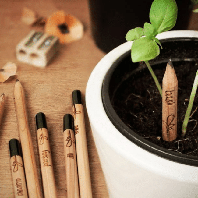 Eco-Friendly Pencil Seeding Kit