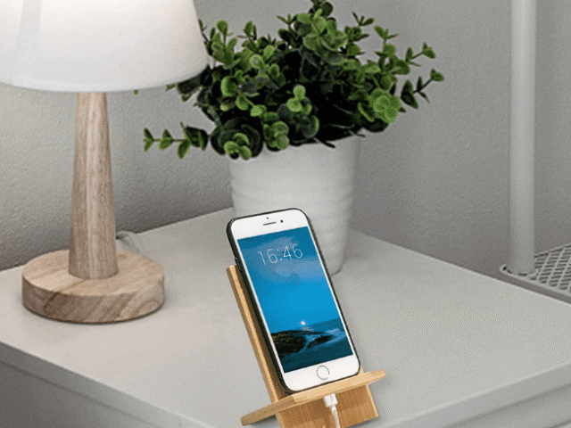 Eco-Friendly Mobile Holder