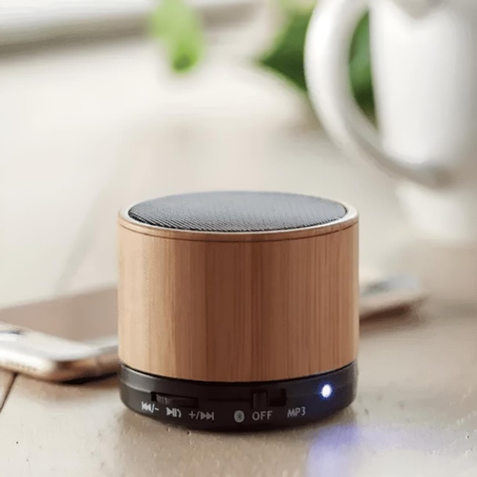 Eco-Friendly Speakers