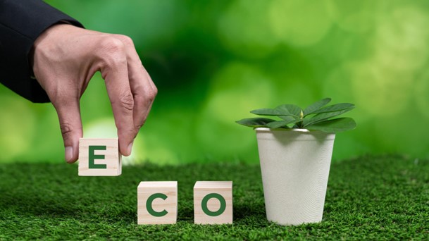 Eco-Friendly & Sustainable