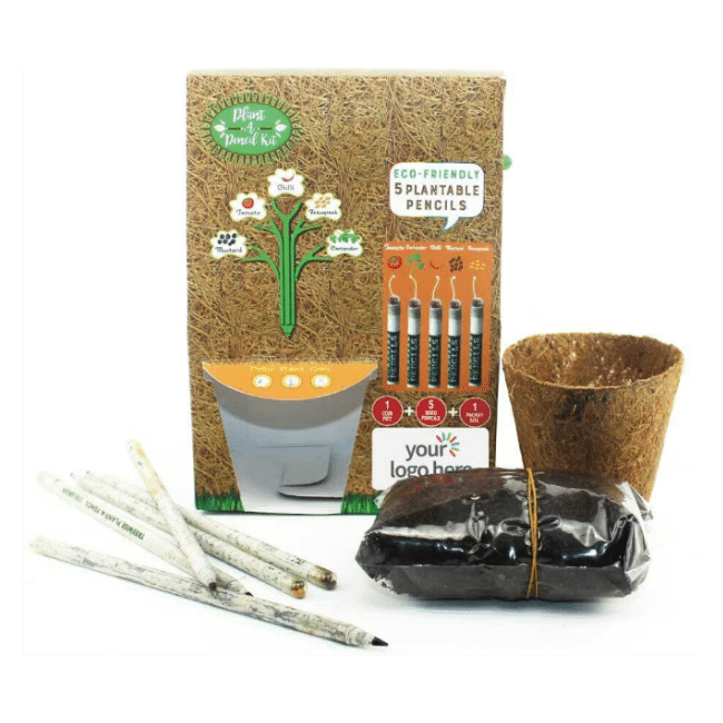 Eco-friendly-pencil-seeding-kit-1.png