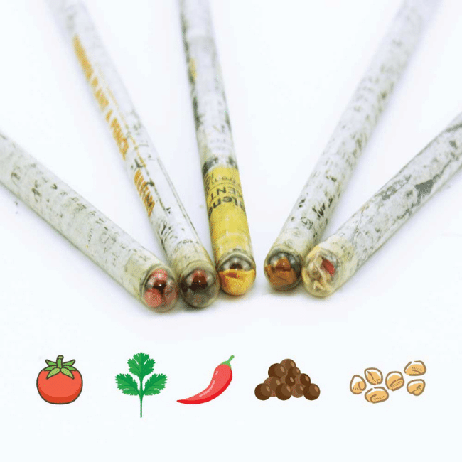 Eco-friendly-pencil-seeding-kit-2.png