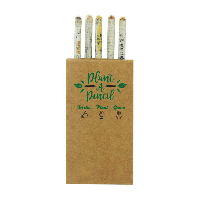 Eco-friendly-pencil-seeding-kit-3.png