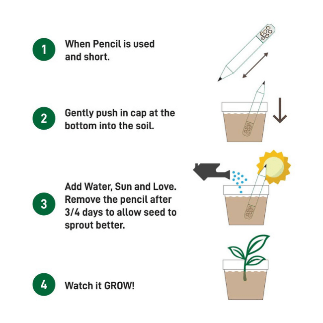 Eco-friendly-pencil-seeding-kit-4.png
