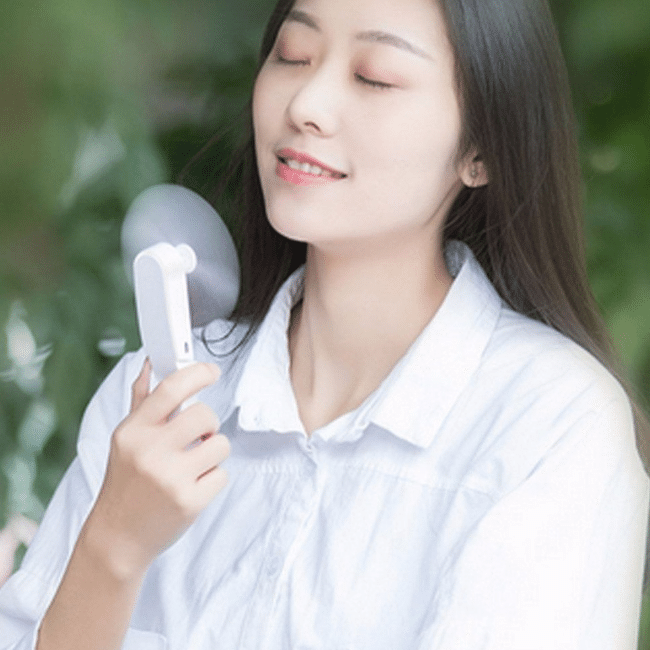 LED-Fans-4.png