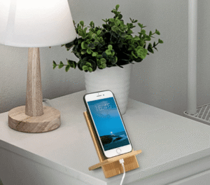 Eco-Friendly Mobile Holder