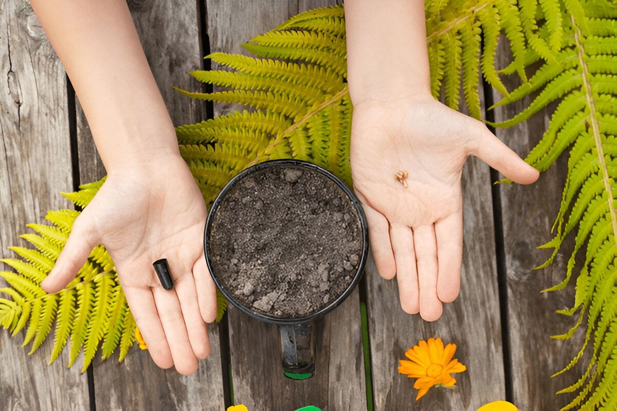 Grow Your Brand with Promotional Eco-Friendly Pencil Seeding Kit in Dubai