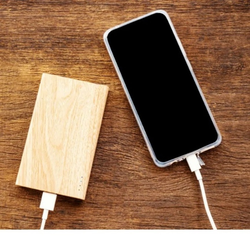 Eco-Friendly Power Banks